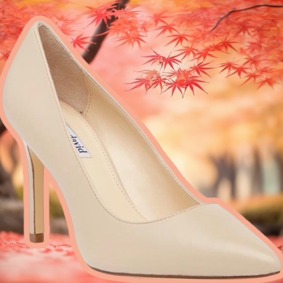 NWOT Charles David ‘Denise’ Pointed-Toe Pumps in Nude Leather Size 11 - Picture 1 of 16